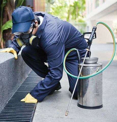pest control